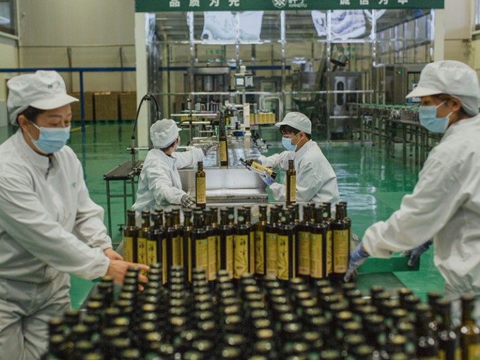 大家都知道，每一滴醇香的祥宇庄园橄榄油，都源自一颗颗小小的油橄榄果实。今天，就让..